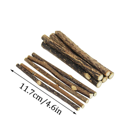 Cat Catnip Molar Sticks – Natural Polygonum Wood Chew Toy