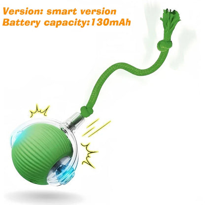 Smart Automatic Rolling Cat Ball Toy – Rechargeable with LED Light & Tail