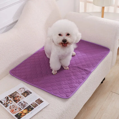 Reusable Dog Pee Pad – Washable Absorbent Pet Training Mat