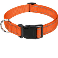 6 Orange