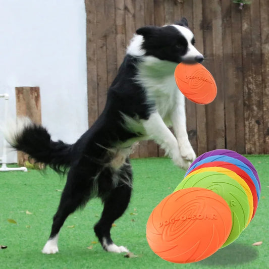 Silicone Dog Frisbee – Chew-Resistant Flying Disc for Pets
