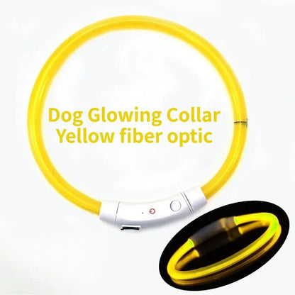 Fiber Optic Dog Collar – USB Rechargeable, Glowing Night Safety