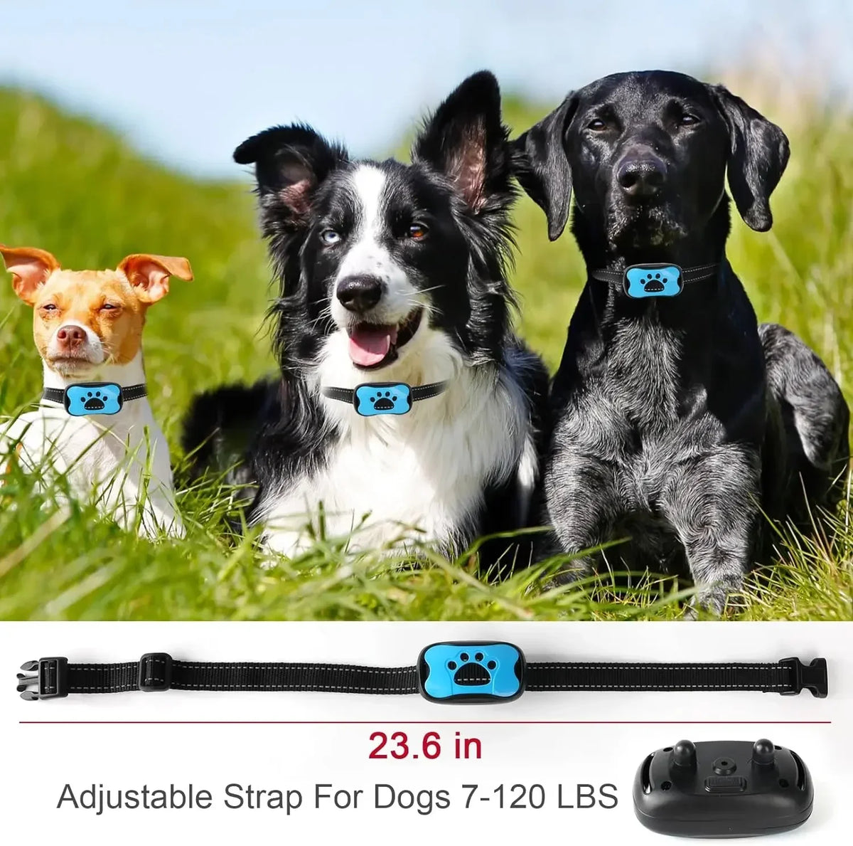 Ultrasonic Anti-Bark Dog Collar – USB Rechargeable Training Device