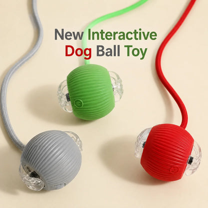 Interactive Dog Ball Toy – Automatic Rolling & Sound, USB Rechargeable