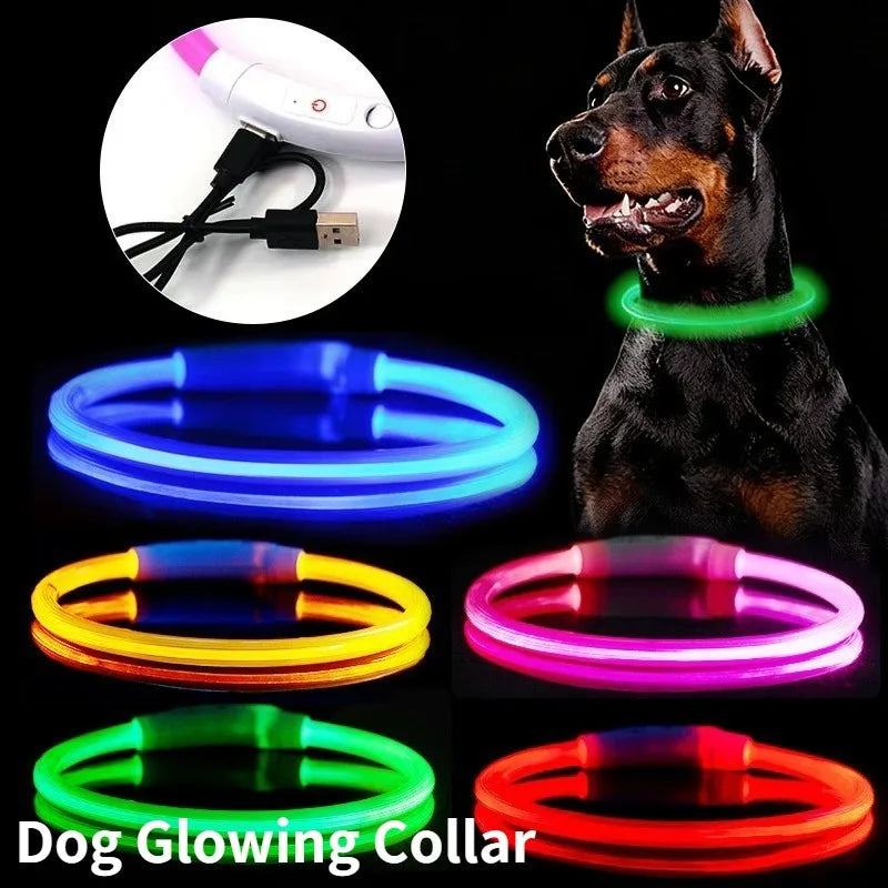 Fiber Optic Dog Collar – USB Rechargeable, Glowing Night Safety